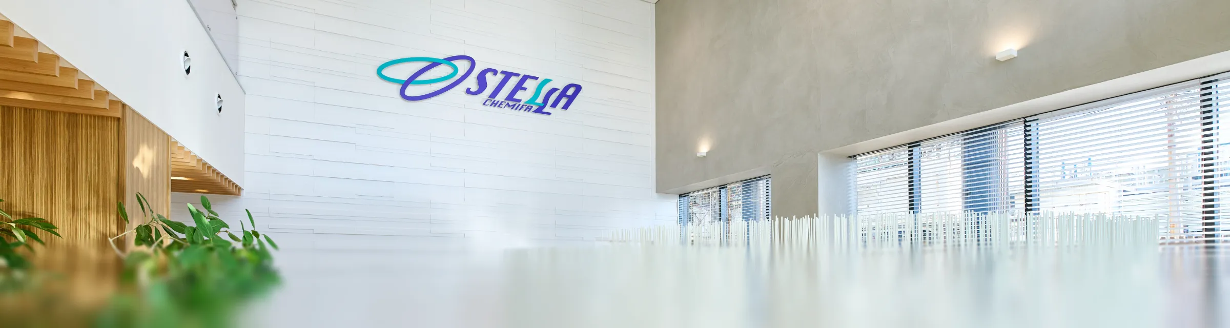 画像:オフィス環境